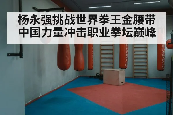 杨永强挑战世界拳王金腰带 中国力量冲击职业拳坛巅峰