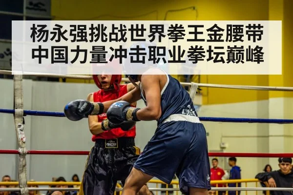 boxing match ring