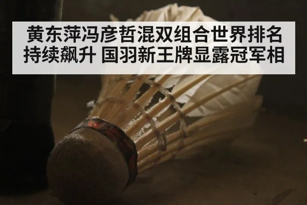 黄东萍冯彦哲混双组合世界排名持续飙升 国羽新王牌显露冠军相