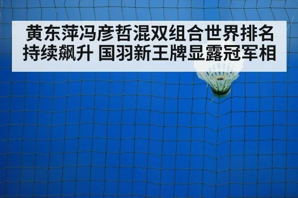 badminton net shot